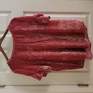 LOFT Velvet Top